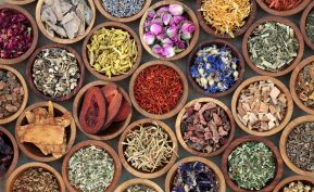 Camy's Acupuncture & Herbs Clinic - Naples, FL